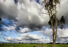 欧陆娱乐官方网站:詹俊:门希克给男网带来新鲜空气,德约冲击百冠失败下次再来!.