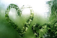 费迪南德：人生第一双球鞋是二手的，希望年轻人都有装备踢球.