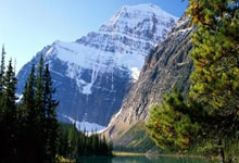 周继红退休谁有望接任？ 中国跳水队管理模式或改变.